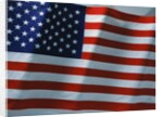 American Flag by Anonymous