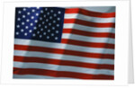American Flag by Anonymous