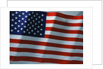 American Flag by Anonymous