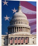 Flag Behind U.S. Capitol by Anonymous