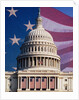 Flag Behind U.S. Capitol by Anonymous