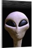 Face of an Extraterrestrial Alien by Anonymous