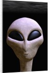 Face of an Extraterrestrial Alien by Anonymous