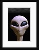 Face of an Extraterrestrial Alien by Anonymous