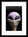 Face of an Extraterrestrial Alien by Anonymous