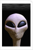 Face of an Extraterrestrial Alien by Anonymous