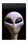 Face of an Extraterrestrial Alien by Anonymous