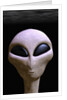 Face of an Extraterrestrial Alien by Anonymous