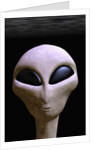 Face of an Extraterrestrial Alien by Anonymous
