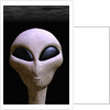 Face of an Extraterrestrial Alien by Anonymous