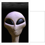 Face of an Extraterrestrial Alien by Anonymous