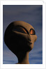 Face of an Extraterrestrial Alien by Anonymous
