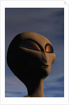 Face of an Extraterrestrial Alien by Anonymous