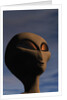 Face of an Extraterrestrial Alien by Anonymous