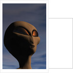 Face of an Extraterrestrial Alien by Anonymous