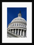 The Rotunda by Anonymous