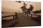 Bridge Leading to Pier by Anonymous