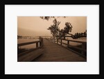 Bridge Leading to Pier by Anonymous