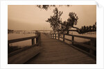 Bridge Leading to Pier by Anonymous