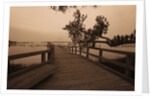 Bridge Leading to Pier by Anonymous
