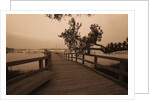 Bridge Leading to Pier by Anonymous