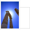 Columns Blocking Sun by Anonymous