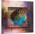 Colorful Clam Shell and Geometry by Anonymous