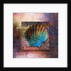 Colorful Clam Shell and Geometry by Anonymous
