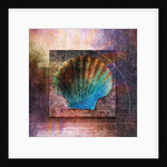 Colorful Clam Shell and Geometry by Anonymous