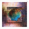 Colorful Clam Shell and Geometry by Anonymous