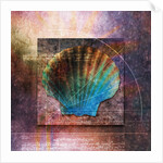 Colorful Clam Shell and Geometry by Anonymous