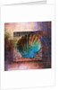 Colorful Clam Shell and Geometry by Anonymous