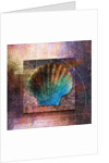 Colorful Clam Shell and Geometry by Anonymous