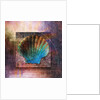 Colorful Clam Shell and Geometry by Anonymous