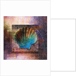 Colorful Clam Shell and Geometry by Anonymous