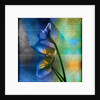 Calla Lilies and Colorful Patterns by Anonymous