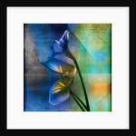 Calla Lilies and Colorful Patterns by Anonymous