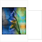 Calla Lilies and Colorful Patterns by Anonymous