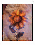 Sunflower and Text by Anonymous
