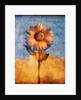 Sunflower and Sky by Anonymous