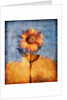 Sunflower and Sky by Anonymous