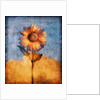 Sunflower and Sky by Anonymous
