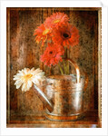 Gerbera Daisies in a Watering Can by Anonymous