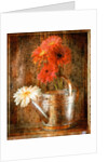 Gerbera Daisies in a Watering Can by Anonymous