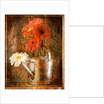 Gerbera Daisies in a Watering Can by Anonymous