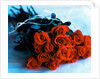 Bouquet of Roses by Anonymous