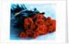 Bouquet of Roses by Anonymous