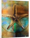 Starfish by Anonymous