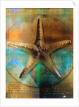 Starfish by Anonymous