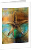 Starfish by Anonymous